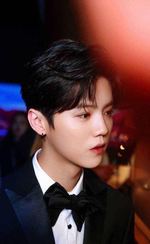 圈内爆料鹿晗郭麒麟,神秘项目引粉丝热议  第2张